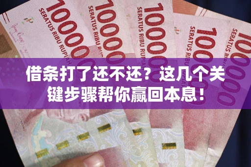 武汉借条打了还不还？这几个关键步骤帮你赢回本息！