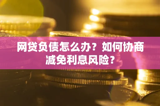 武汉网贷负债怎么办？如何协商减免利息风险？