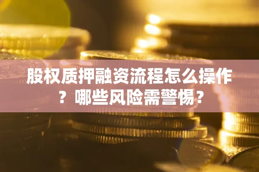 武汉股权质押融资流程怎么操作？哪些风险需警惕？