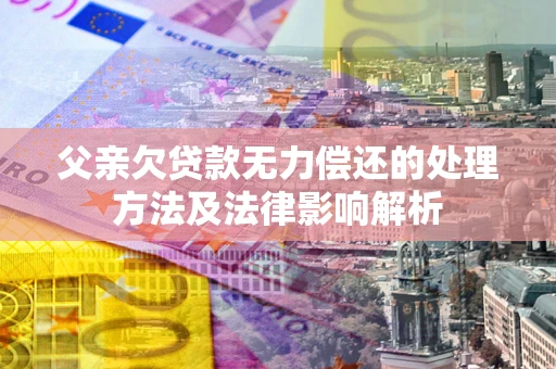 武汉父亲欠贷款无力偿还的处理方法及法律影响解析