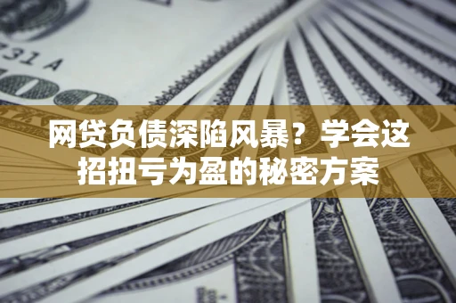 武汉网贷负债深陷风暴？学会这招扭亏为盈的秘密方案